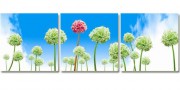 三拼装饰花卉油画 迎接春天 蒲公英 餐厅油画 客厅油画