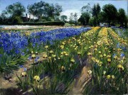 法国田园风景油画薰衣草和郁金香 印象风景油画