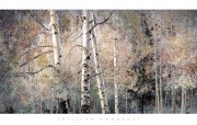 白桦林风景油画 冬天里的白桦树林 写实风景 酒店油画
