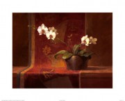 花盆的蝴蝶兰 中国古典花卉油画