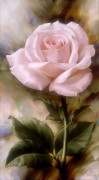 一朵粉玫瑰花油画 XSH095