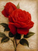 火红的玫瑰花油画 XSH113
