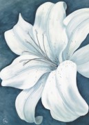 花卉装饰油画 ZSH033
