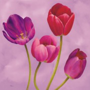漂亮的花卉油画 XSH161