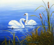 两只漂亮的白天鹅油画 TEYH020