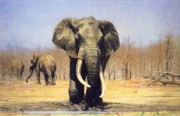 大象油画 动物油画 DXYH001