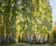 白桦树林油画 写实风景 办公室油画 BHL0045