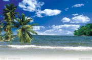 大海沙滩油画 沙滩 热带风情油画 DHST015