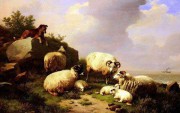 羊油画 动物油画 手绘油画 020