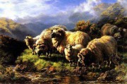 羊油画 动物油画 手绘油画 030