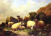 羊油画 动物油画 手绘油画 021