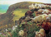 羊油画 动物油画 手绘油画 017