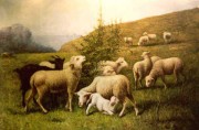羊油画 动物油画 手绘油画 008