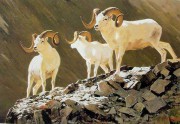 羊油画 动物油画 手绘油画 018