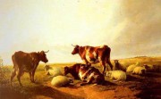 牛 动物油画 028