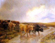牛 动物油画 027
