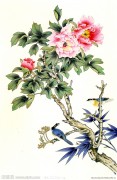 牡丹花 工笔画 中国花鸟油画 168