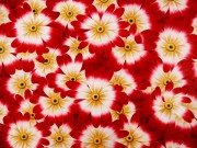 装饰花卉油画 078