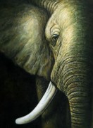 动物油画 大象
