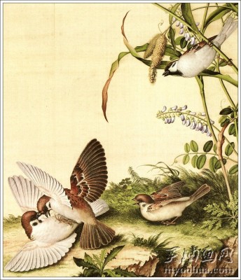 郎世宁 油画作品 中国宫廷油画  18