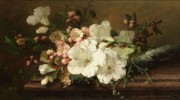 古典花卉油画 漂亮花卉油画 12