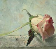 单支粉玫瑰 写实花卉油画 客厅餐厅卧室油画48
