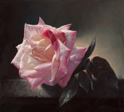 单支粉玫瑰 写实花卉油画 客厅餐厅卧室油画45