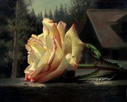 单支玫瑰油画 写实花卉油画 客厅玄关卧室油画49
