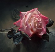 单支粉玫瑰 写实花卉油画 客厅餐厅卧室油画44
