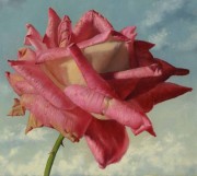 单支粉玫瑰 写实花卉油画 客厅餐厅卧室油画47