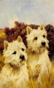 两只小狗油画 写实动物油画 大芬村油画 046