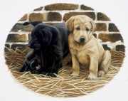 两只小狗油画  写实动物油画 大芬村油画002