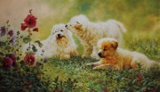 三只小狗油画 写实动物油画 大芬村油画 016