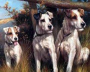 三只小狗油画 写实动物油画 大芬村油画 019