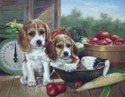 两只小狗油画 写实动物油画 大芬村油画 029
