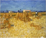 普罗旺斯的玉米收获 文森特·梵高1888 油画 大芬村