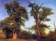 大树木  大芬村油画  年代：1858  尺寸： 48 x 65厘米