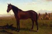一匹马的画像–（Albert Bierstadt  大芬村油画