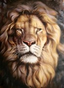 狮子头油画 ，威猛 狮子 动物油画05