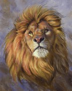 狮子头油画 ，狮子 动物油画01