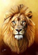 狮子头油画 ，威猛 狮子 动物油画02