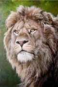 狮子头油画 ，威猛 狮子 动物油画06