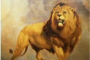 狮子头油画 ，威猛 狮子 动物油画012