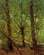 树木和灌木丛 文森特 - 梵高 大芬村油画